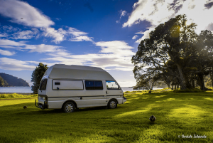 Coromandel-Road-Trip-Nouvelle-Zelande